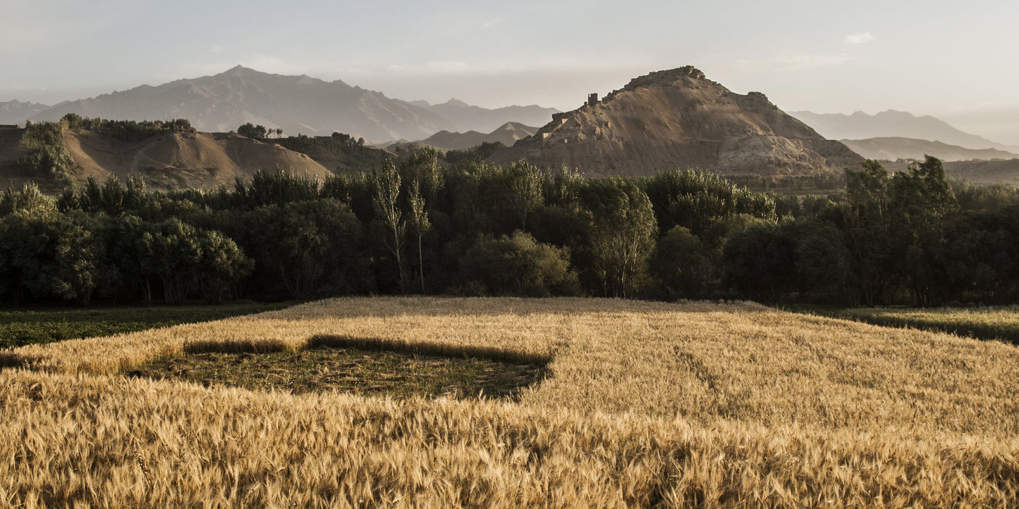 Afghan Landscapes #9