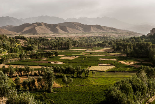 Afghan Landscapes #48