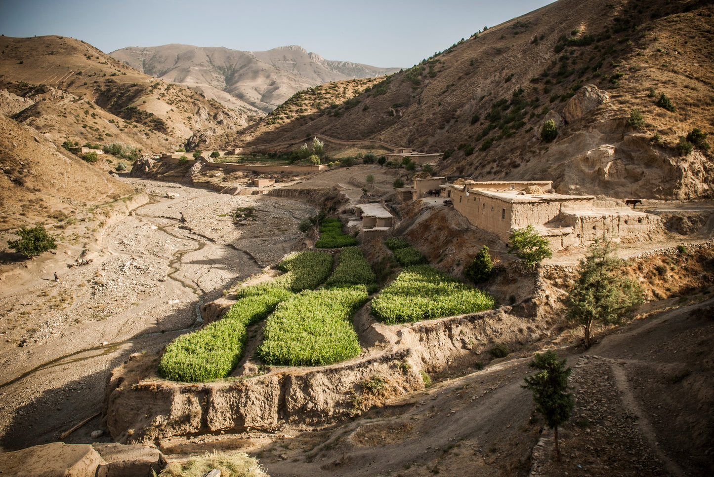 Afghan Landscapes #47