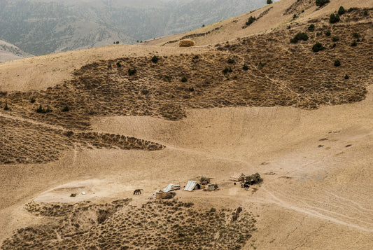 Afghan Landscapes #49