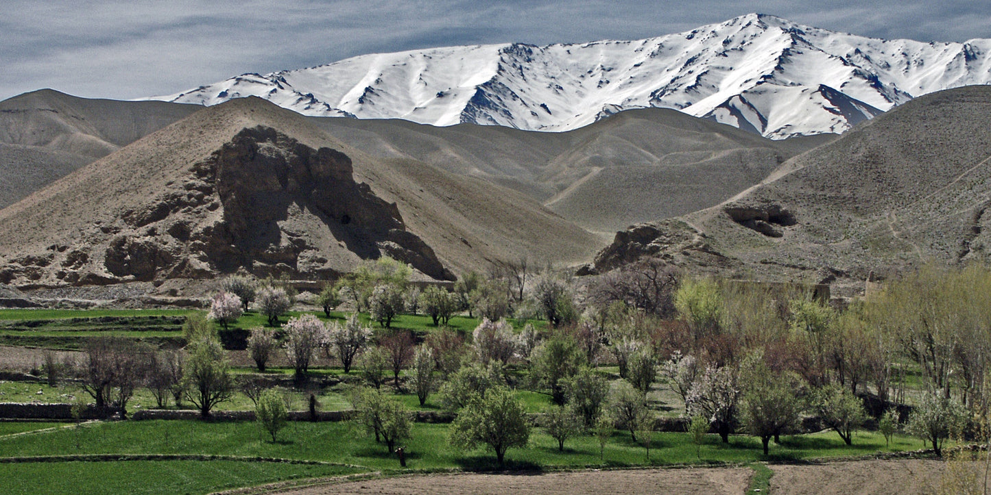 Afghan Landscapes #18