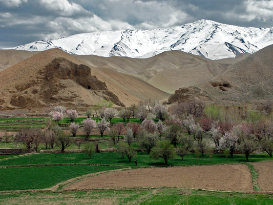 Afghan Landscapes #28