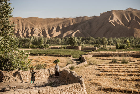 Afghan Landscapes #53