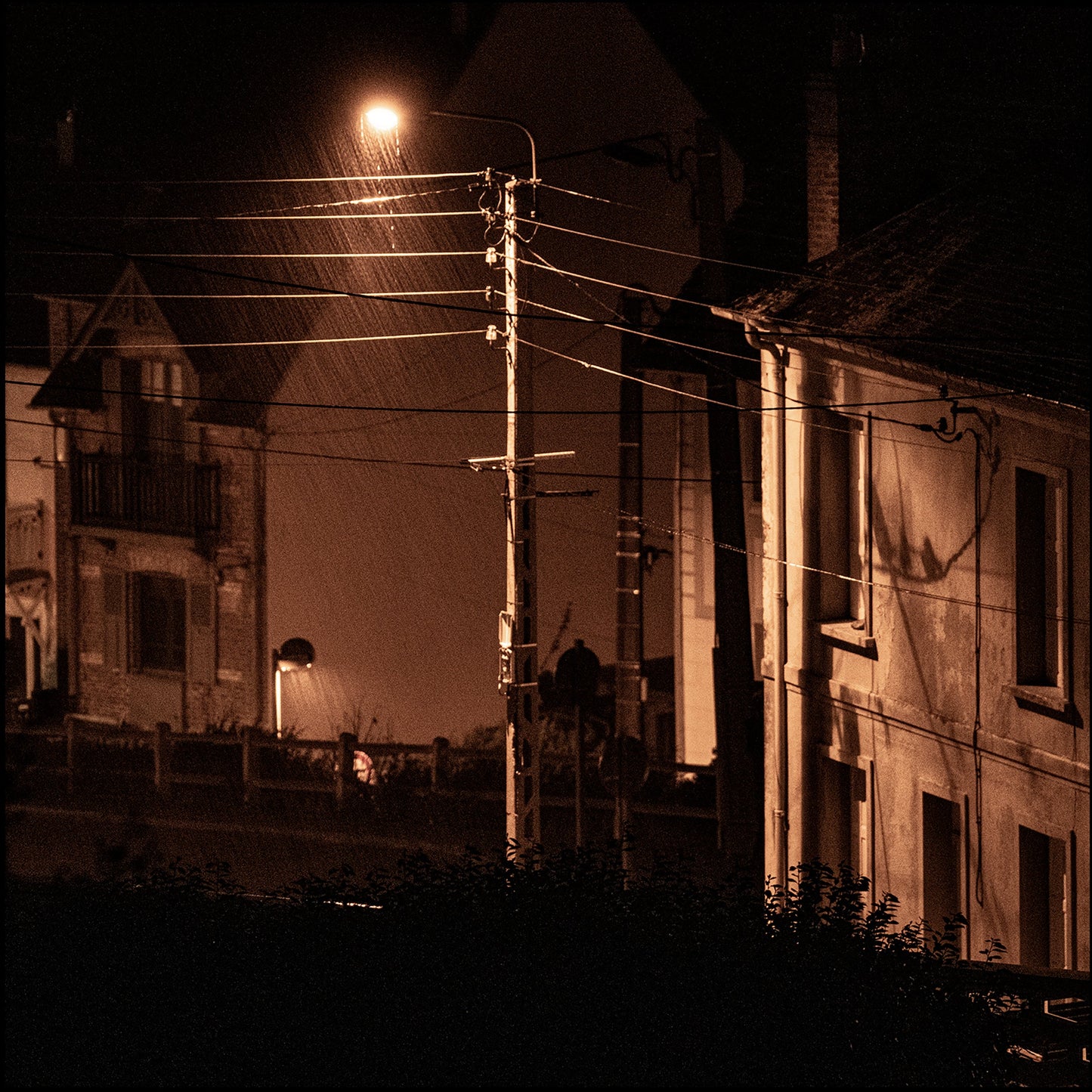 Houses #11