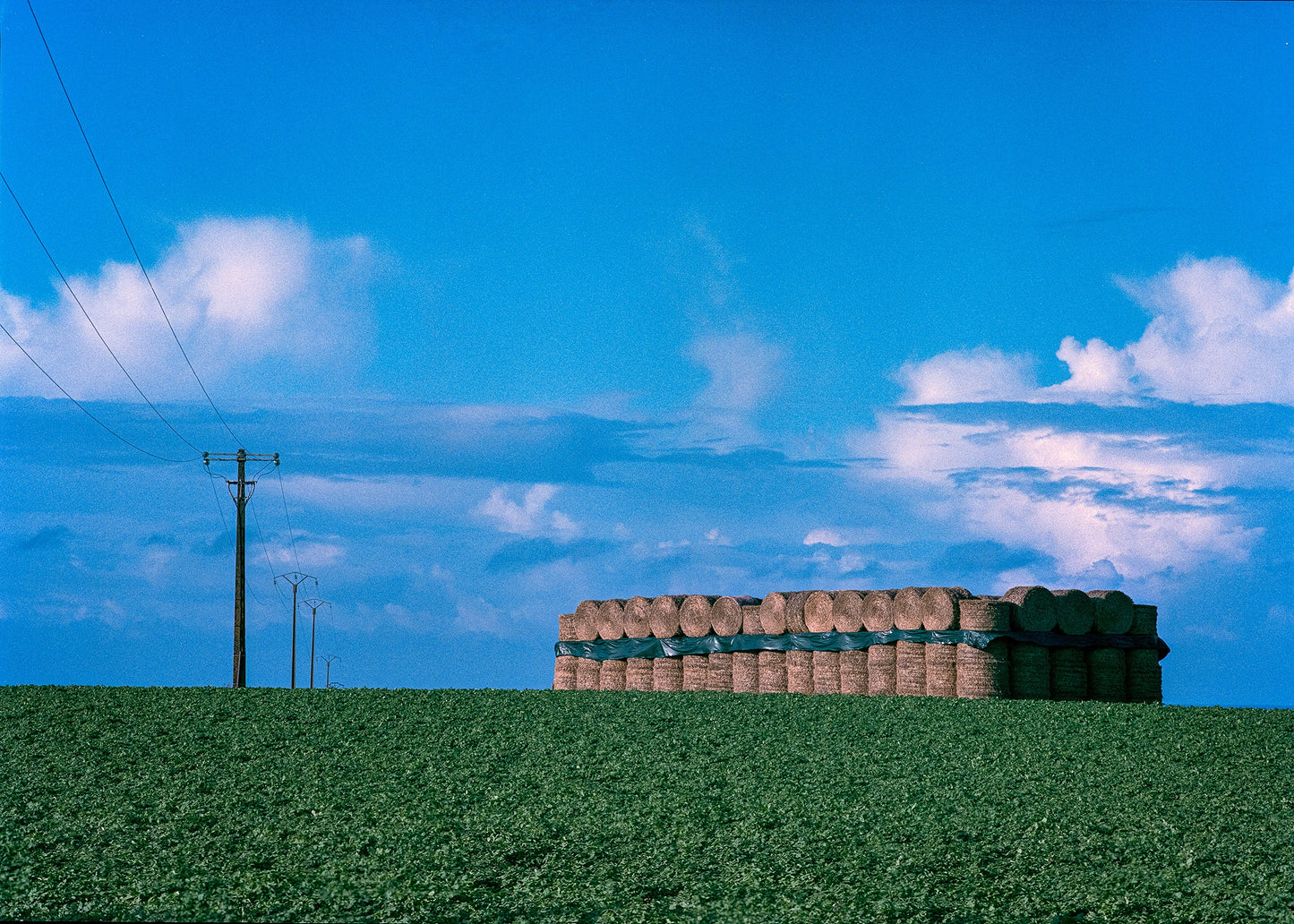 Landscapes #23